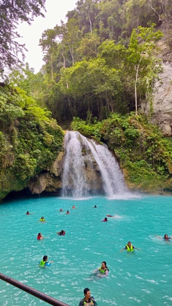 0851cb69-a613-440f-83b6-d67a317c7873 (1)