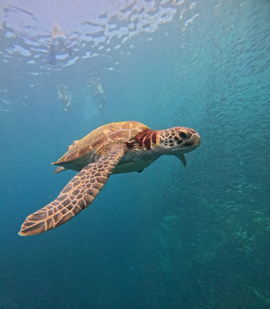 8E641557-5C4A-4AE2-825C-BA9B82FC92E9 (1)